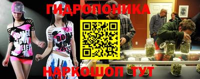 PSILOCYBIN Кулебаки